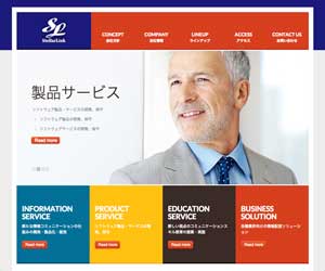 株式会社ステラリンク